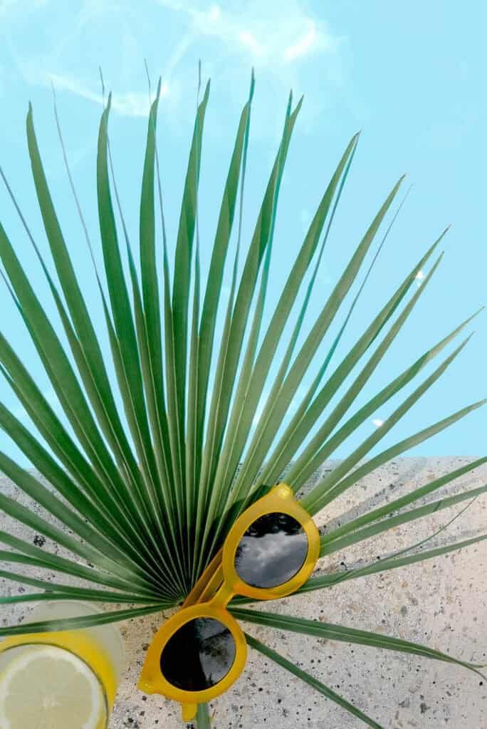 ellow sunglasses and tropical palm leaf by a sunny poolside, representing a holistic sun safety lifestyle combining natural photoprotective supplements and physical barriers against UV radiation and photoaging