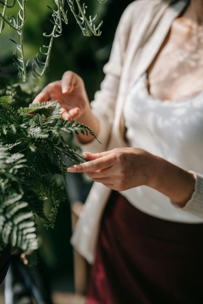 Woman hands gently touching fern leaves representing natural skincare and botanical supplement ingredients for skin health