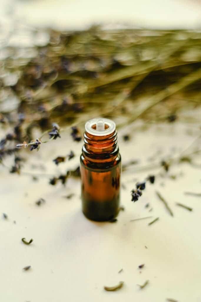 Small amber essential oil bottle surrounded by dried lavender herbs on a white surface, representing tea tree oil as a clinically validated antimicrobial botanical ingredient for acne